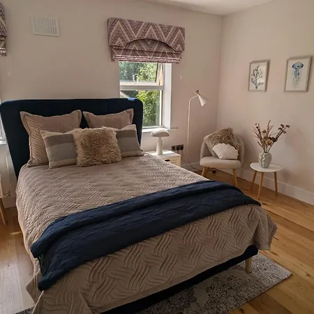 Elegantly Refurbed D4 Duplex 3mins From Aviva