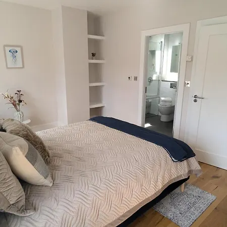 Apartment Elegantly Refurbed D4 Duplex 3mins From Aviva *